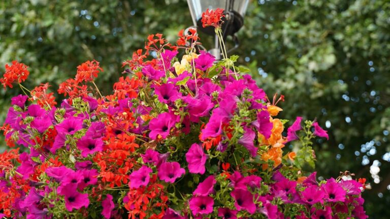 Village Hanging Baskets Planting