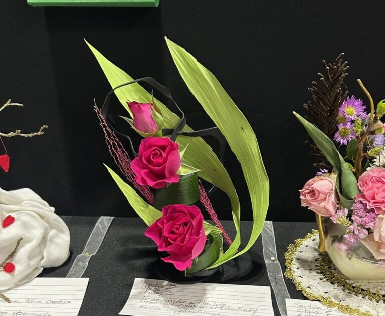 OPGC Shines at Plantasia 2026