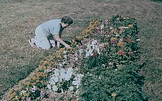 Pilot program, Orchard Park Nursing Home, 1978