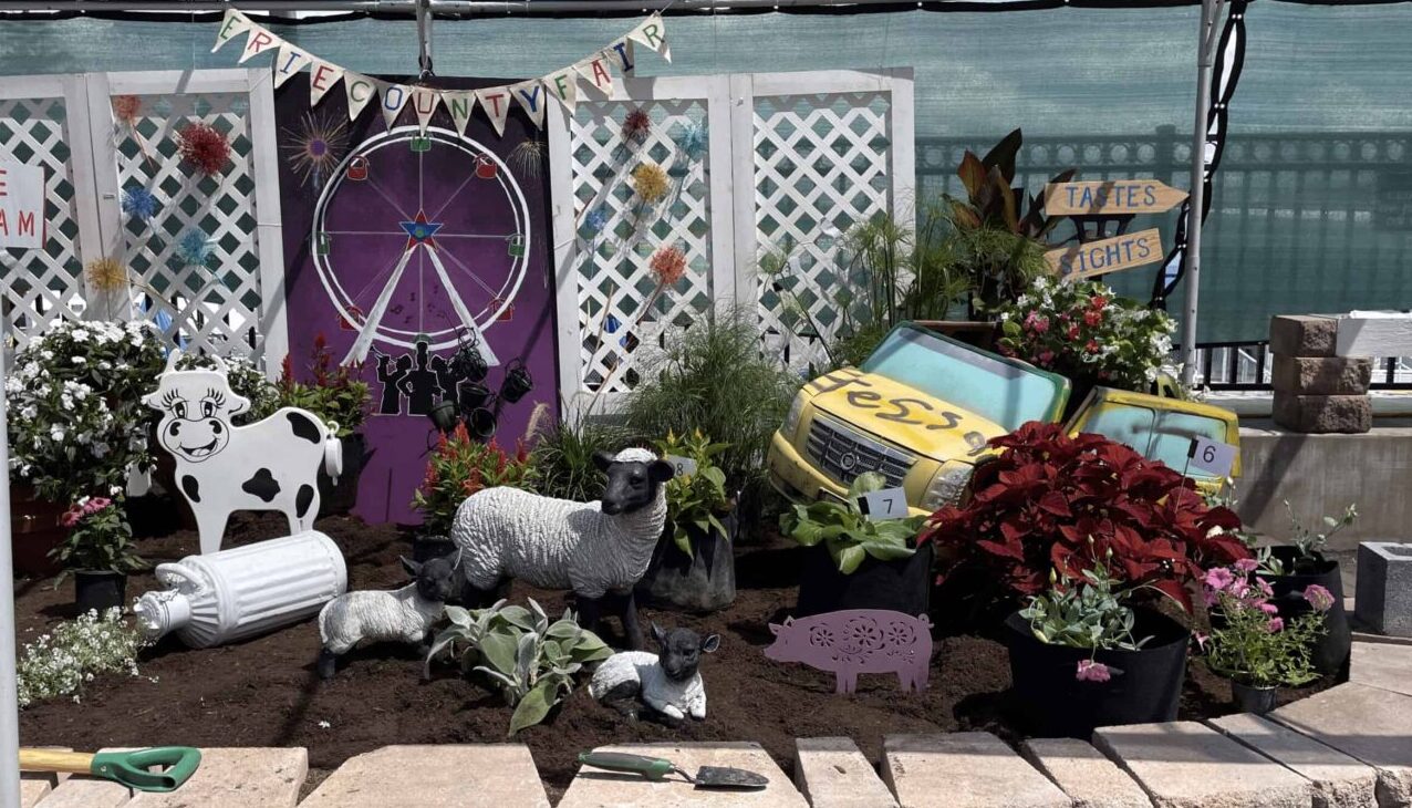 Erie County Fair outdoor garden, 2025