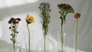 General Meeting & Interactive Horticulture
