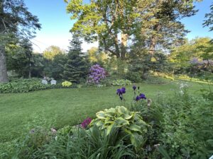 A Walk Through Nancy’s Garden