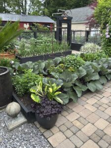 A Walk Through Jeff and Wendy’s Garden