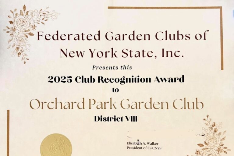 Three District VIII Awards Recognize Orchard Park Garden Club